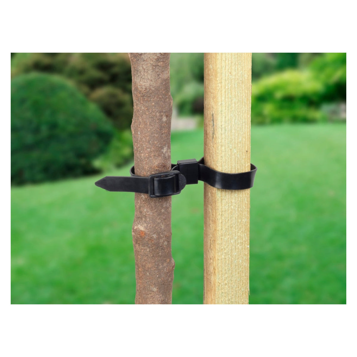 Ambassador adjustable rose and shrub ties pack of 4