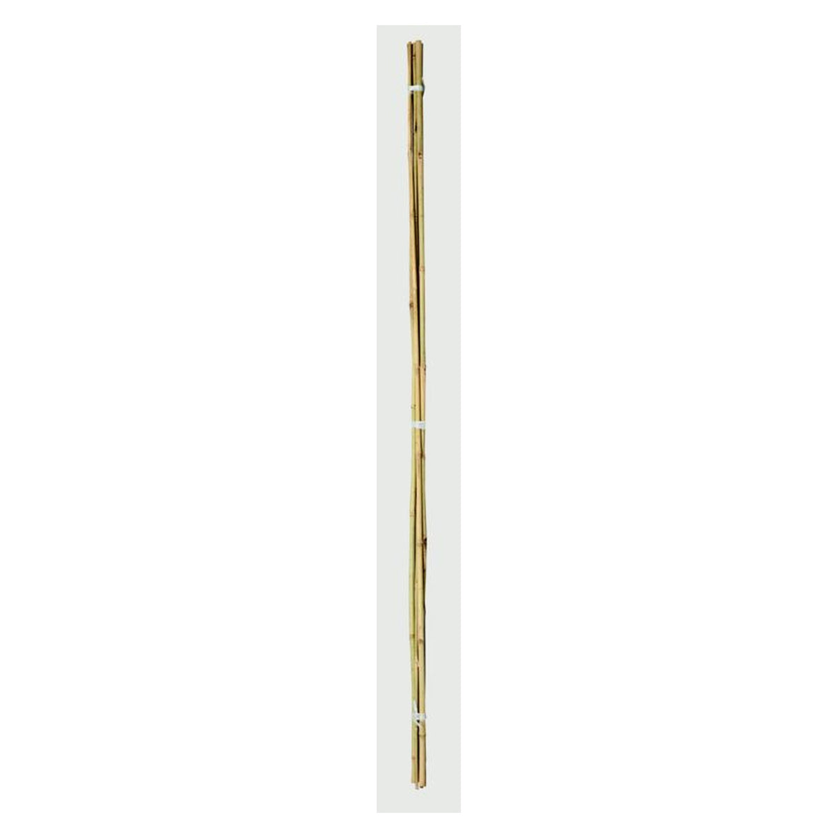 Ambassador 3ft bamboo canes, pack of 20