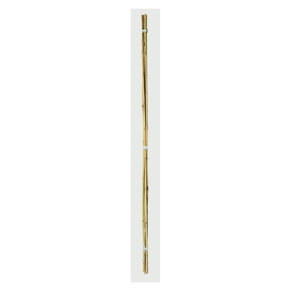 Ambassador 3ft bamboo canes, pack of 20