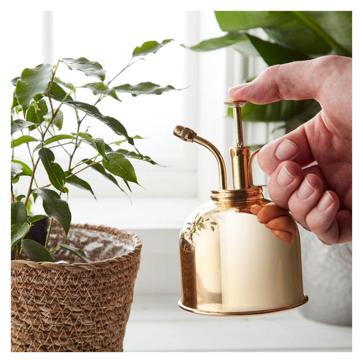 Ambassador brass mist sprayer, view 3