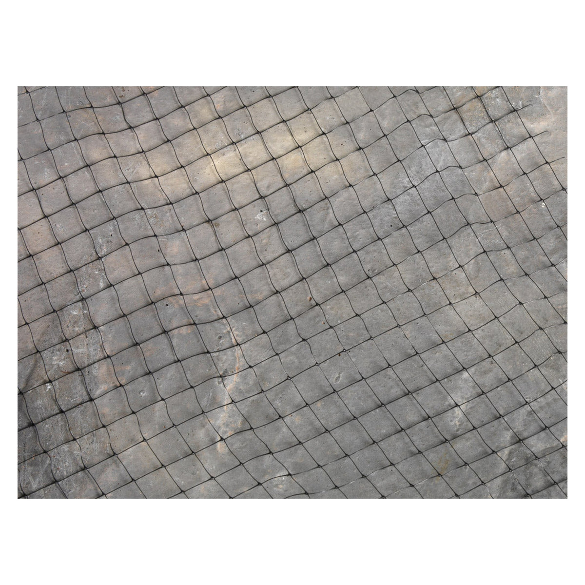 Ambassador crop and pond protection netting, 3m x 2m
