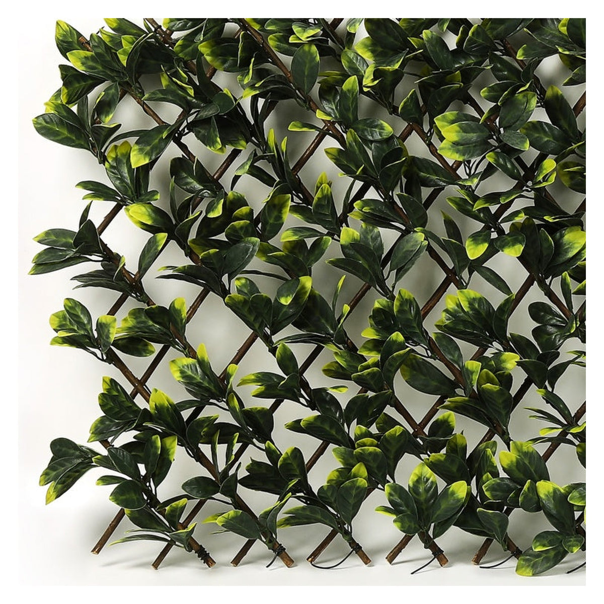 Ambassador expanding artificial trellis with green leaves, 180cm x 60cm, view 3