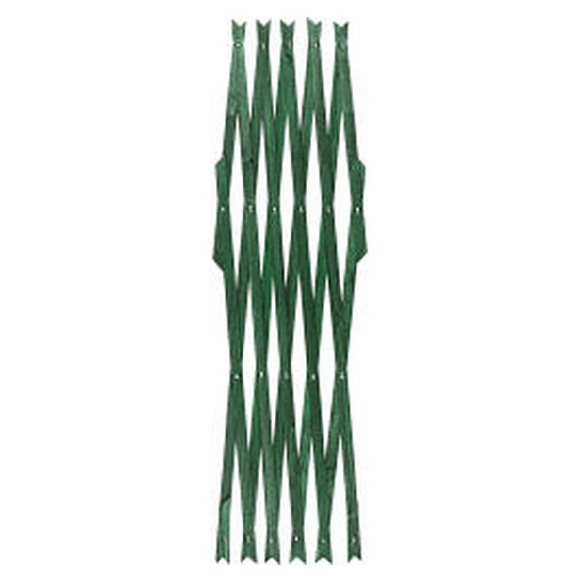 Ambassador green expanding trellis 6ft x 1ft