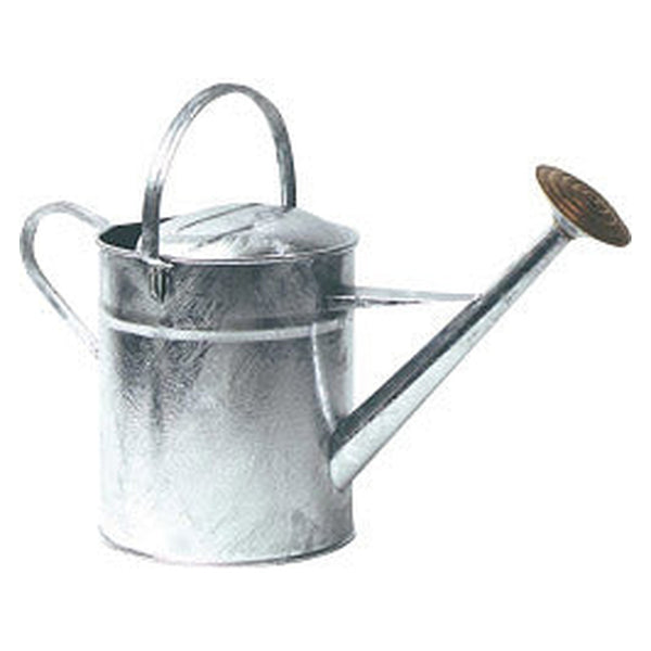 Ambassador galvanised watering can 2 gallon