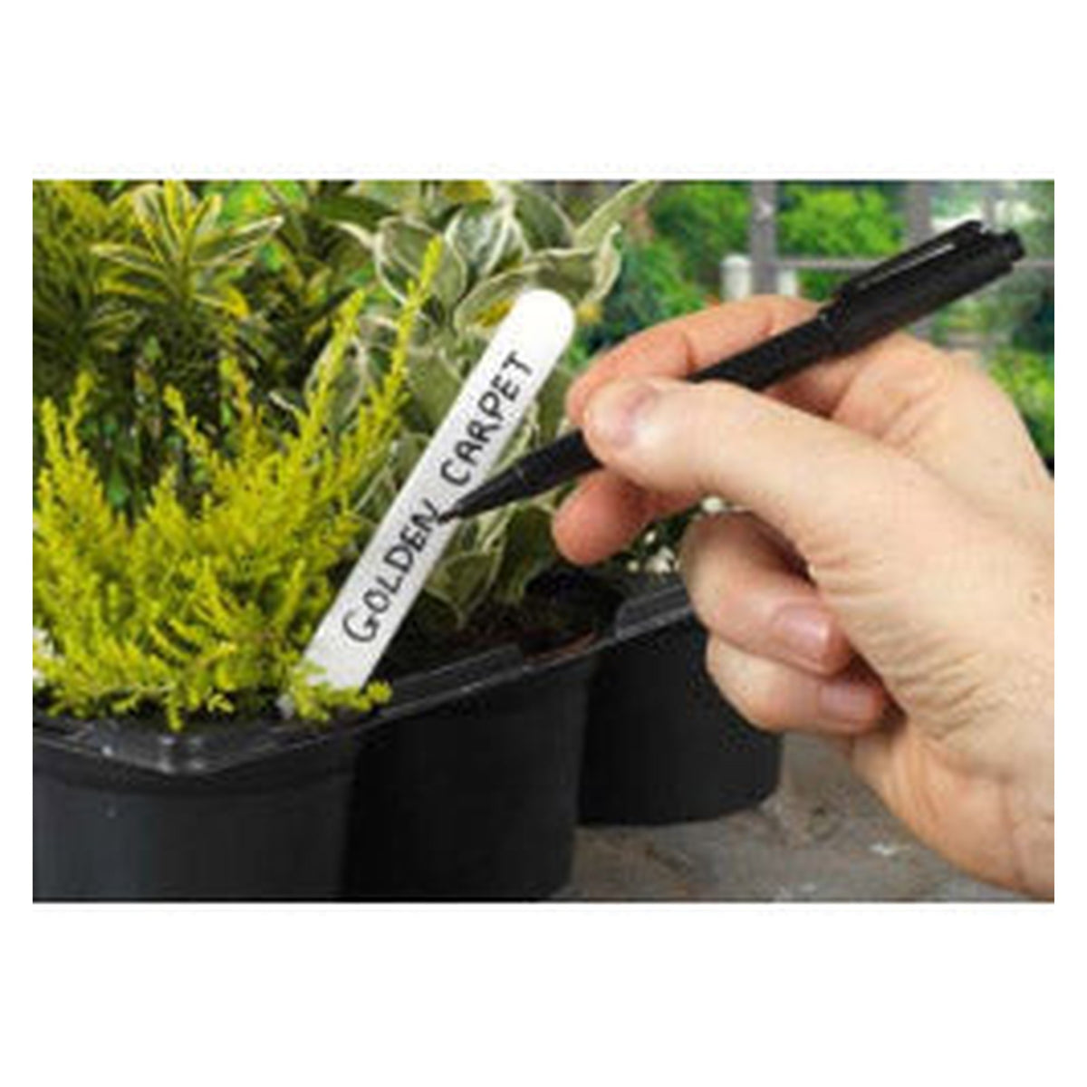 Ambassador garden marker pen with black waterproof ink
