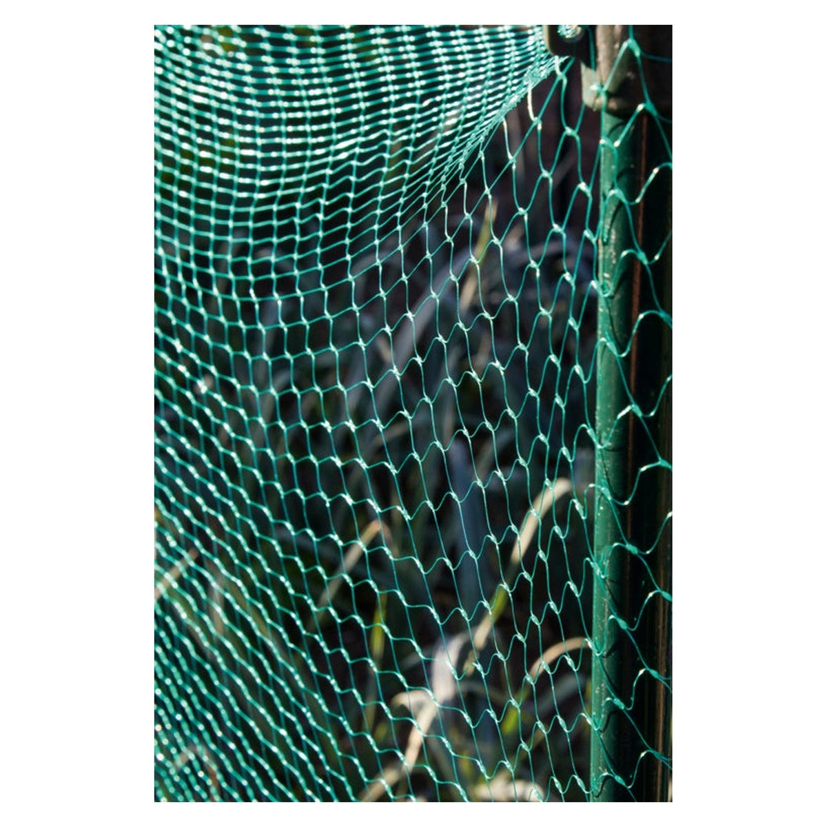 Ambassador green garden net 3m x 2m