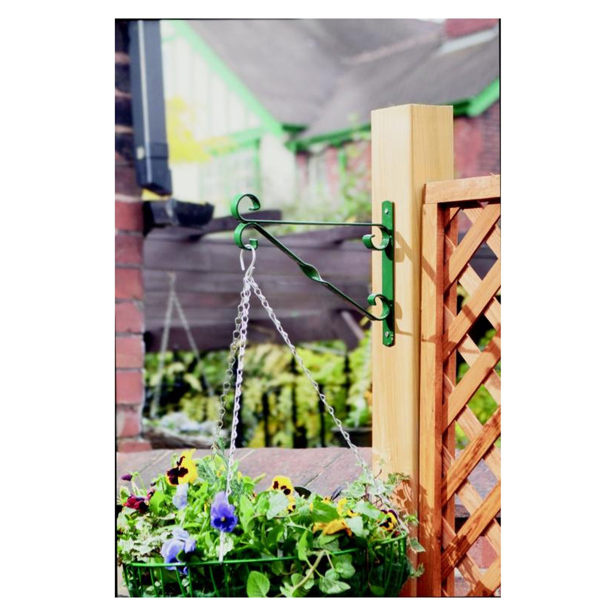 Ambassador 12 inch green hanging basket bracket