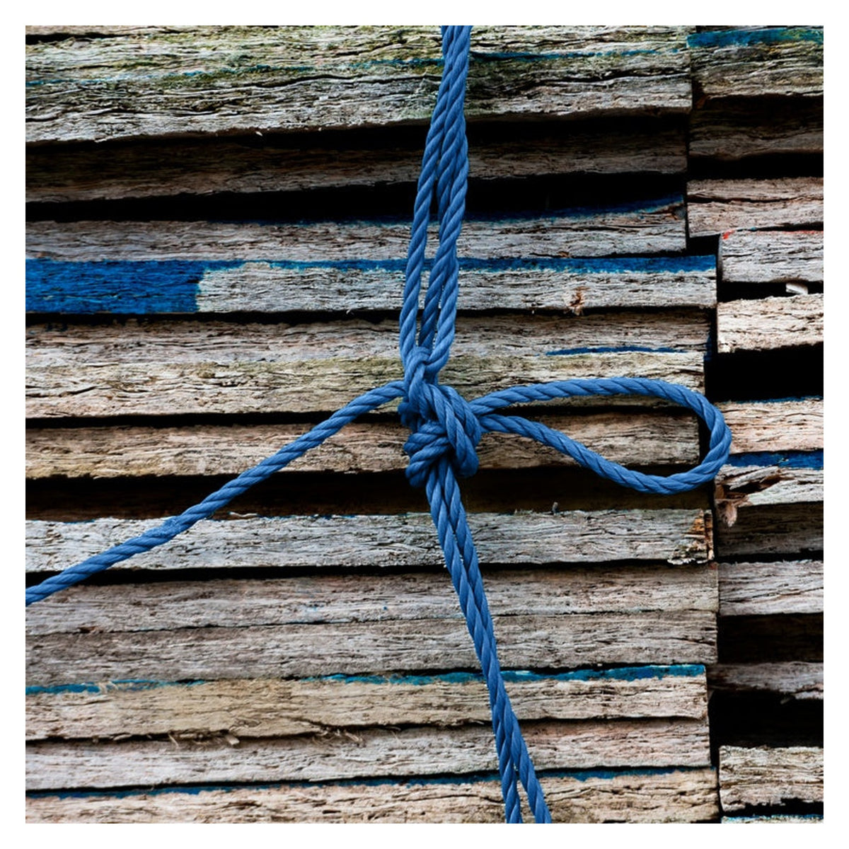 Ambassador blue 8mm polypropylene rope, 20m coil