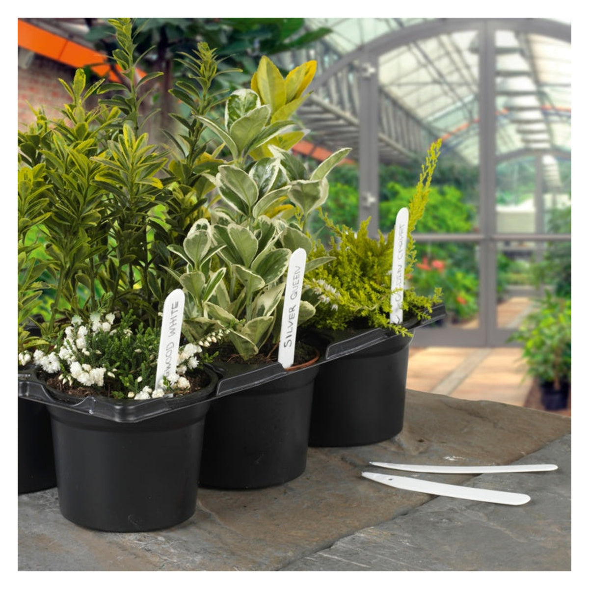 Ambassador 4 inch plastic plant labels pack of 100, view 2
