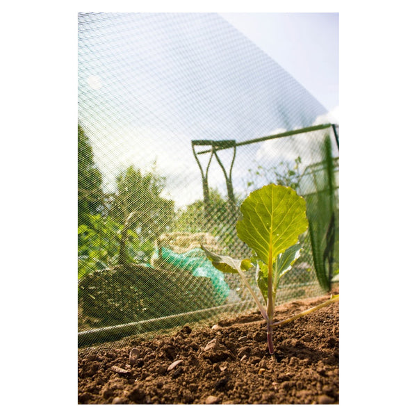 Ambassador plant shading mesh roll, 10m x 660mm