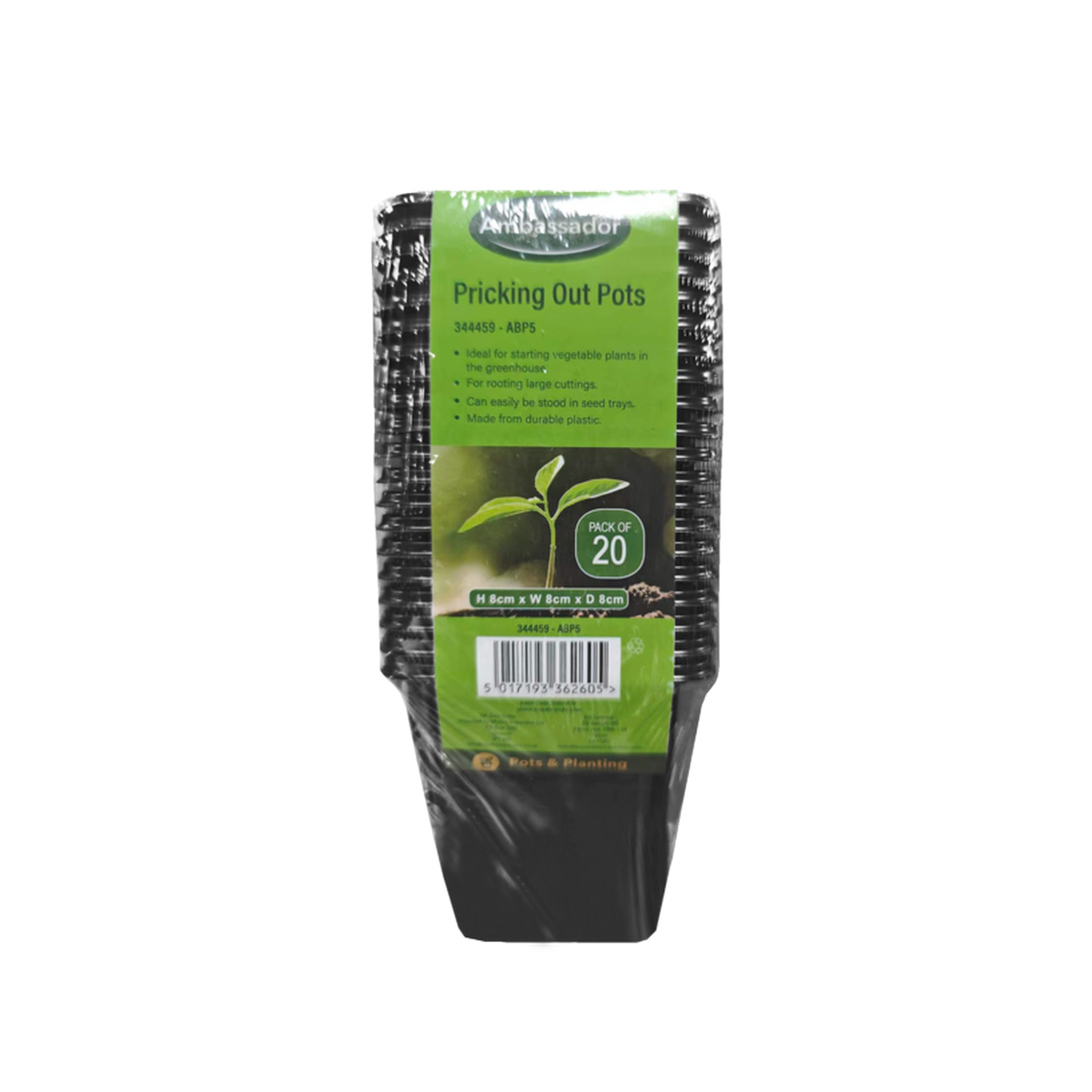 Ambassador 8cm pricking out pots, pack of 20