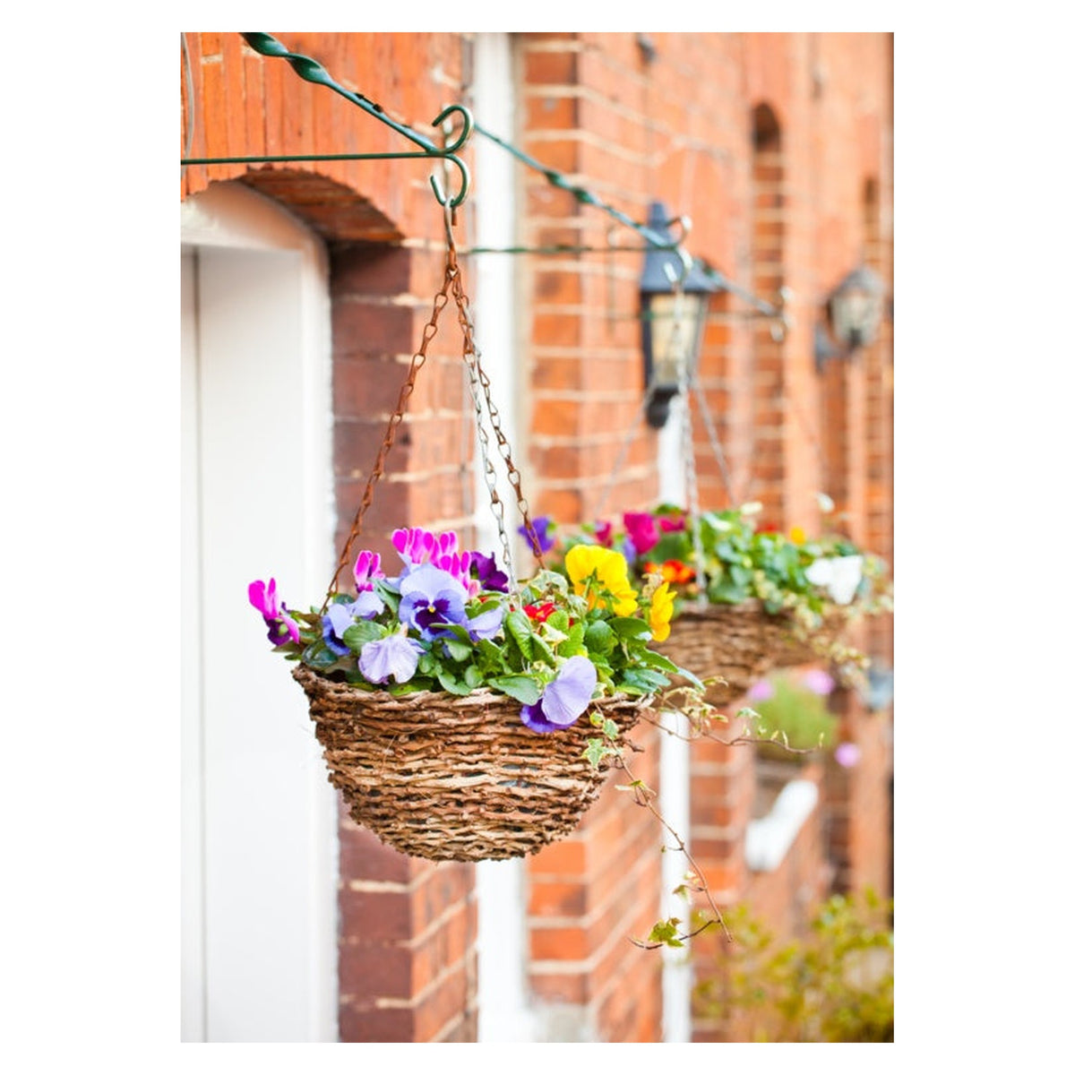 Ambassador 14 inch natural rattan hanging basket