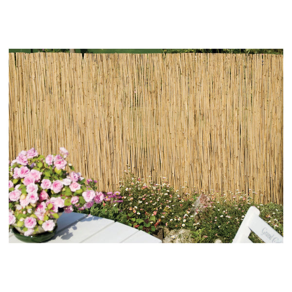 Ambassador natural reed screening, 4m x 1m