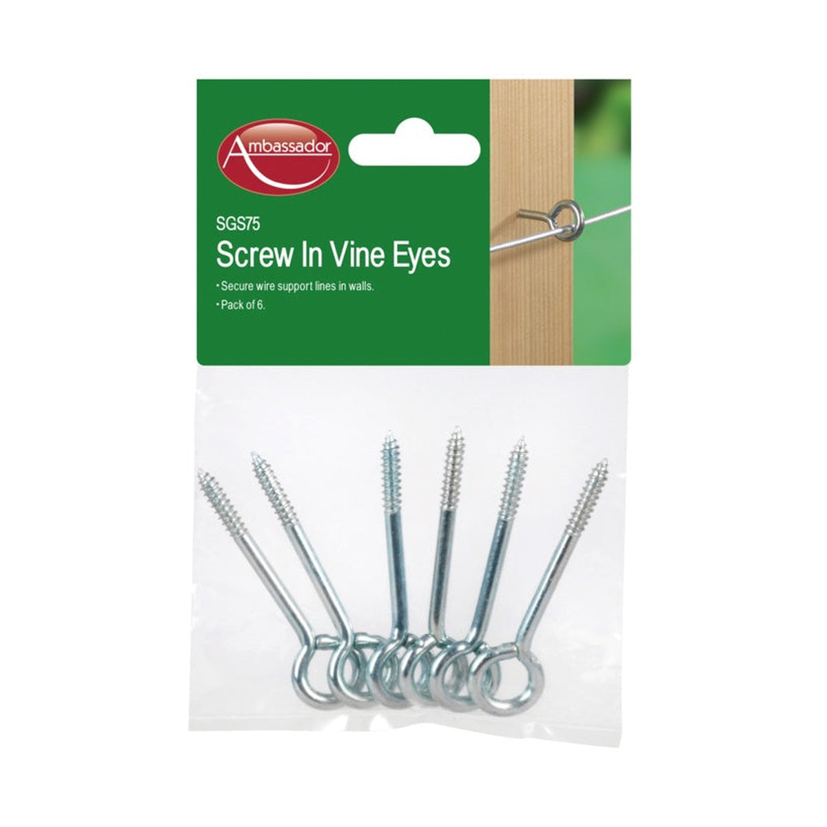 Pack of 6 Ambassador screw-in vine eyes
