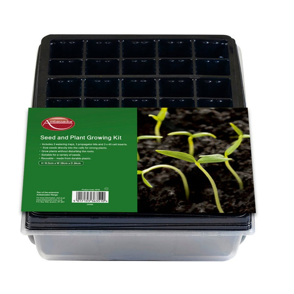 Ambassador seed and plant growing kit