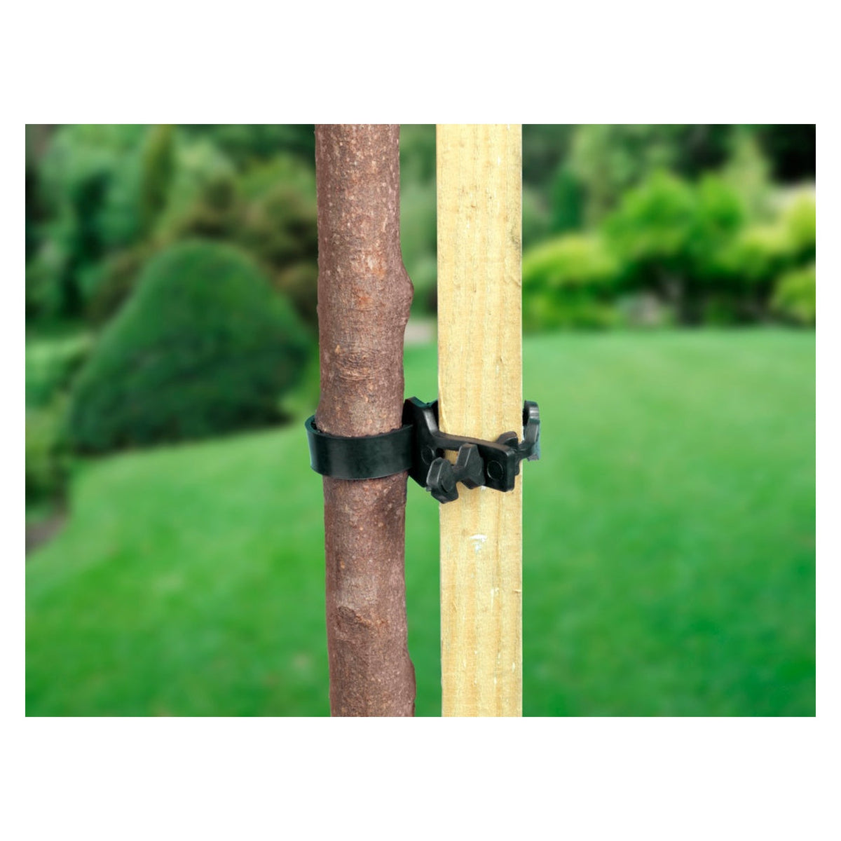 Ambassador 13.75 inch soft shrub ties pack of 2