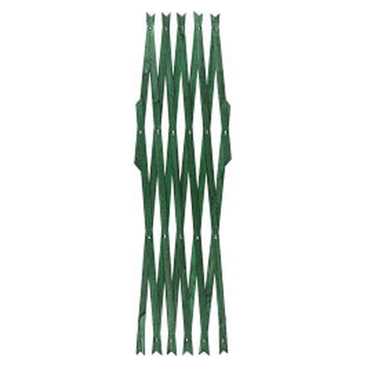 Ambassador green expanding trellis 6ft x 3ft