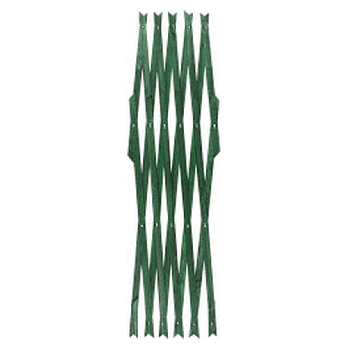 Ambassador green expanding trellis 6ft x 4ft