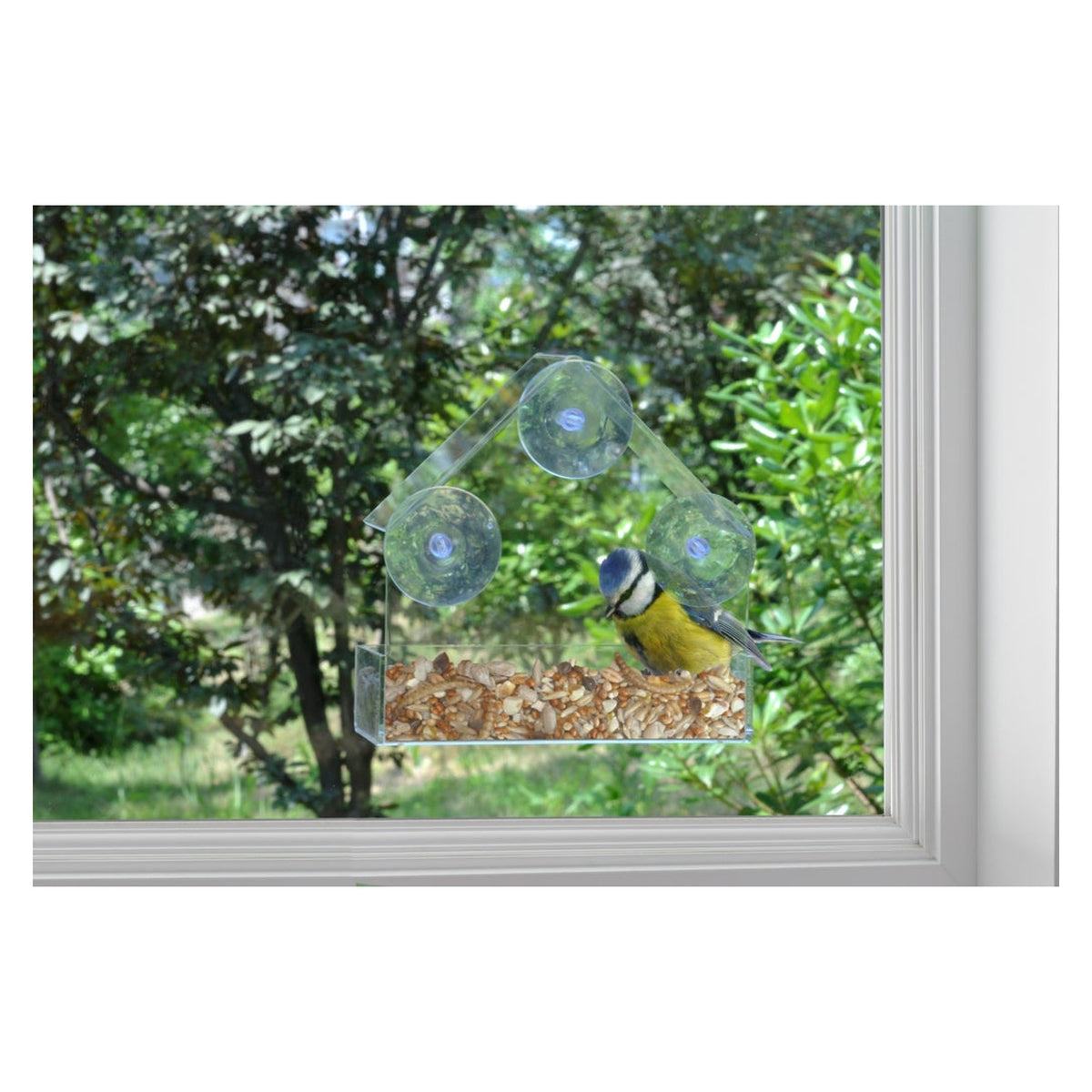 Ambassador clear acrylic window bird feeder with suction cups, view 2