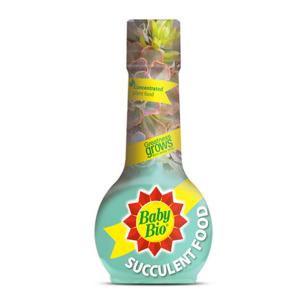Baby Bio Succulent Plant Feed 175ml