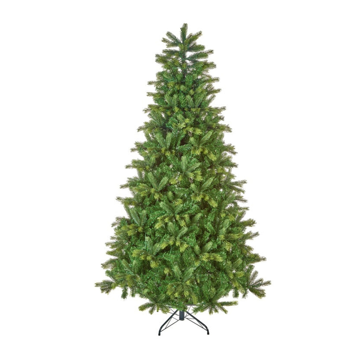 Barneswood Spruce Tree - 1.8m