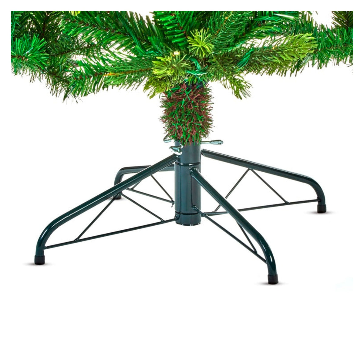Barneswood Spruce Tree - 1.8m, view 4