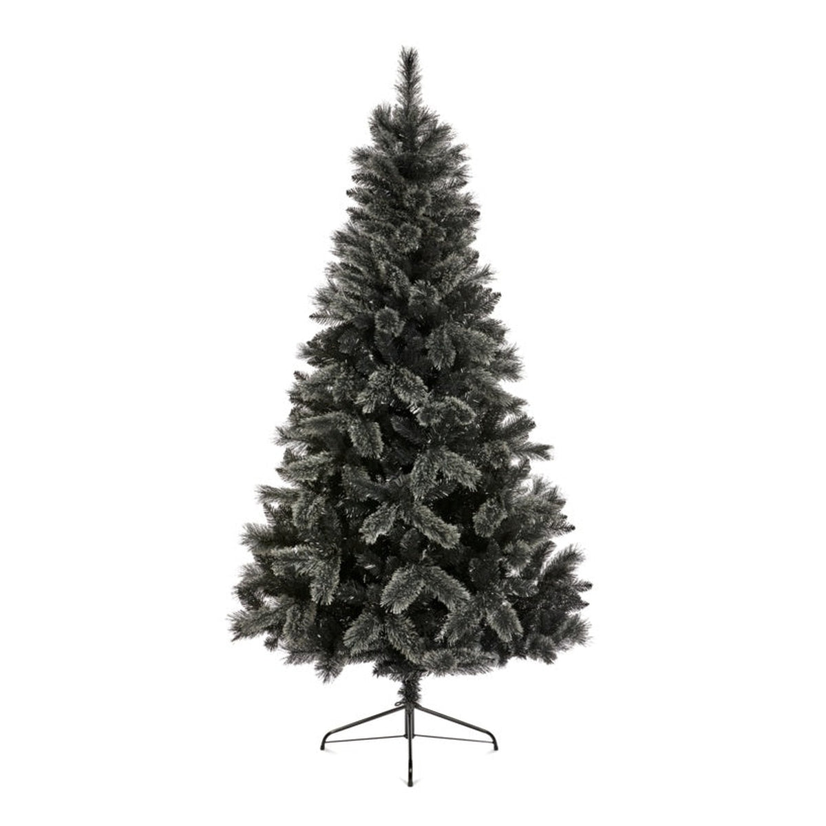 Black Tipped Fir & Cashmere Tips - 2.1m