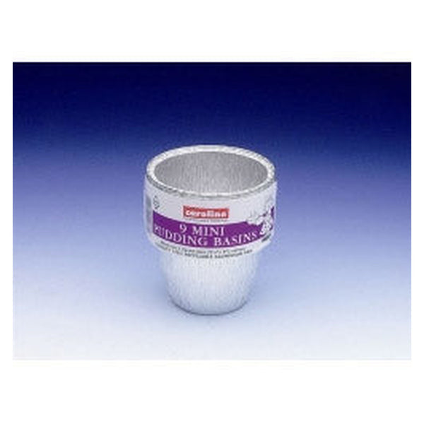 Pack of ten Caroline 6oz mini pudding basins