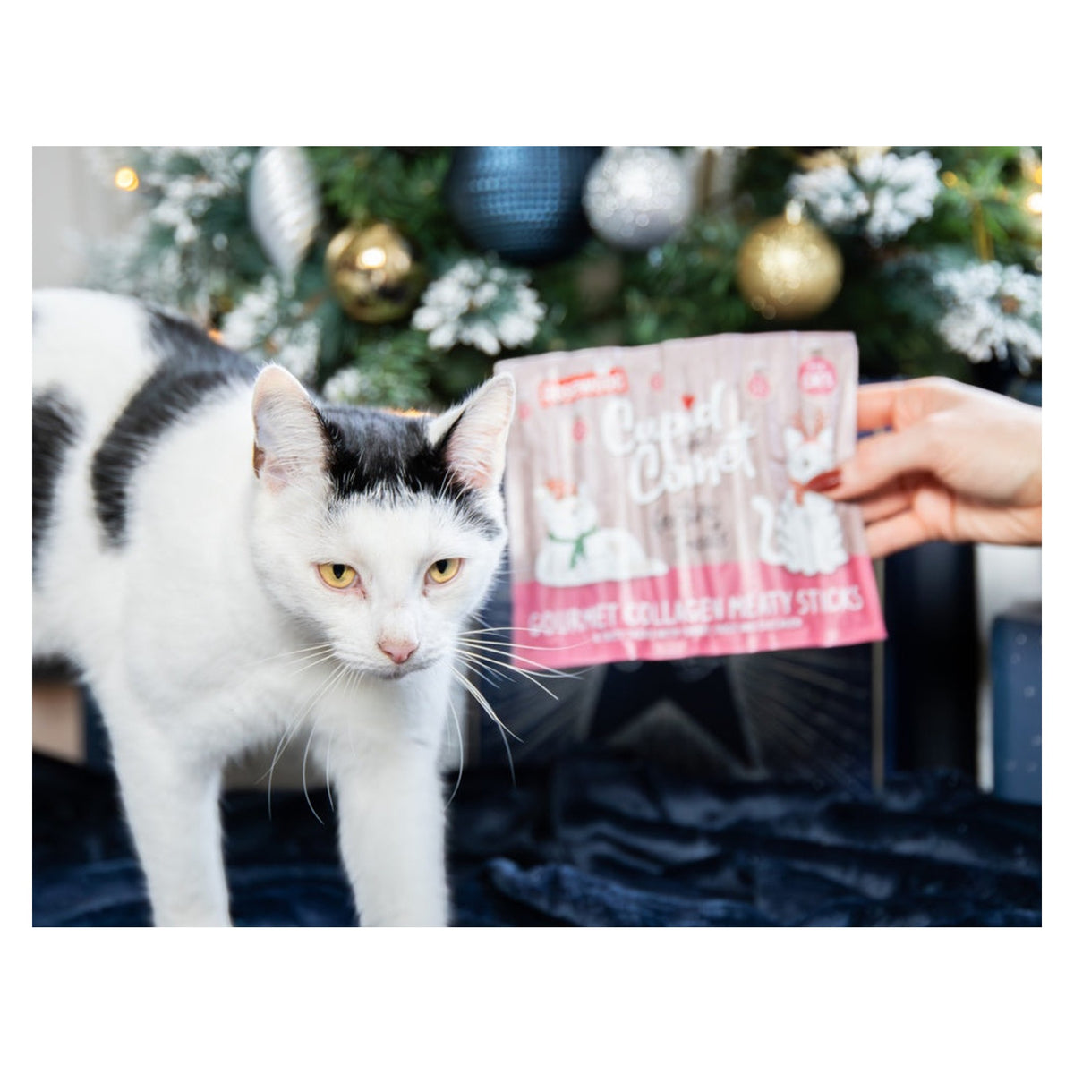 Cat Collagen Festive Sticks Dk&Trky - 5g, view 6