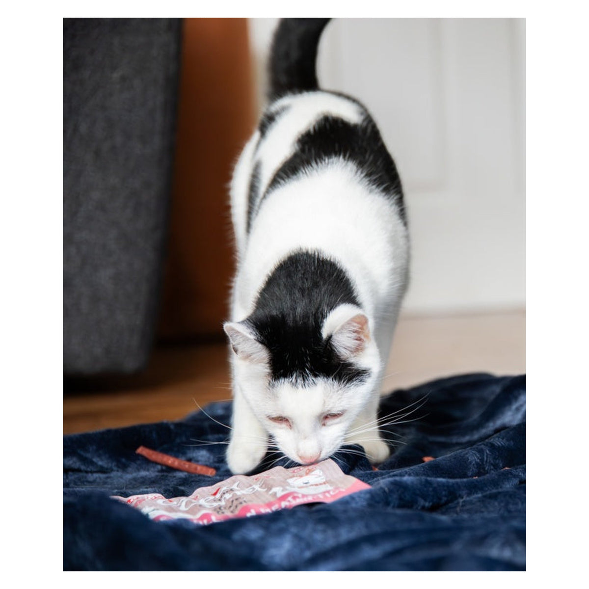 Cat Collagen Festive Sticks Dk&Trky - 5g, view 8
