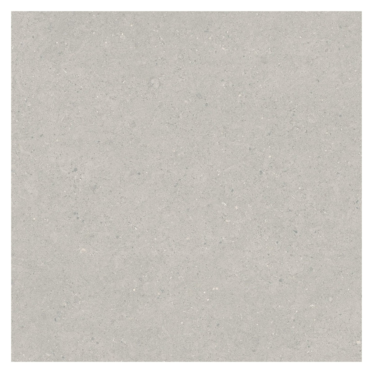 Contempo Limestone Fossil Tile - 0.9m2 600 x 300mm, view 2