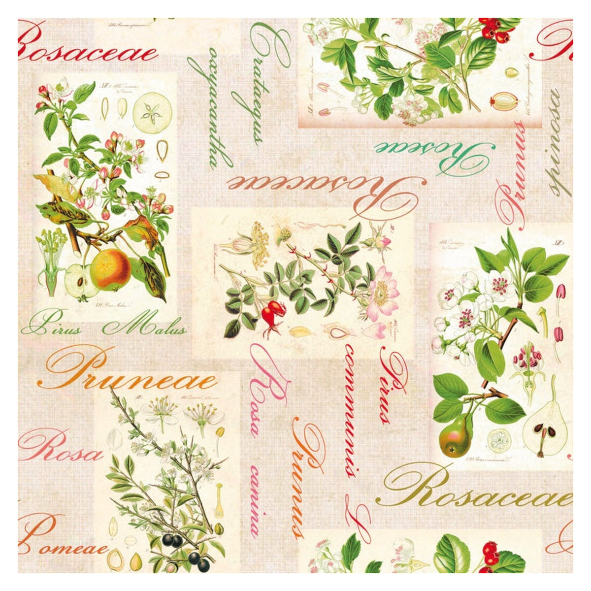 d-c-fix Manhattan Rosalie tablecloth roll