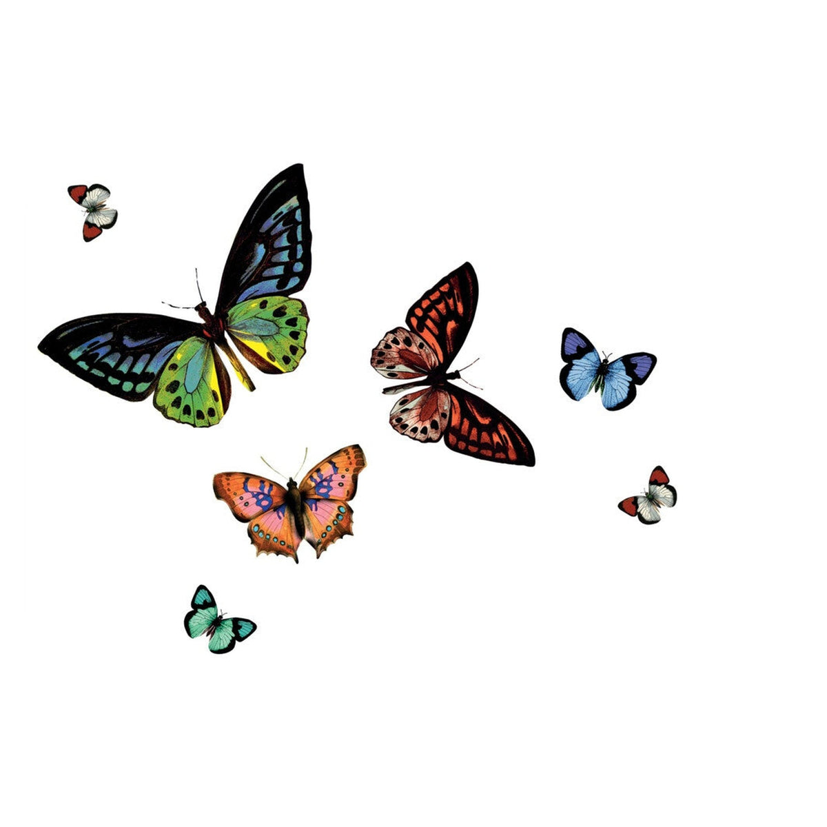 d-c-fix Rio placemats in Butterfly Transparent, pack of 12