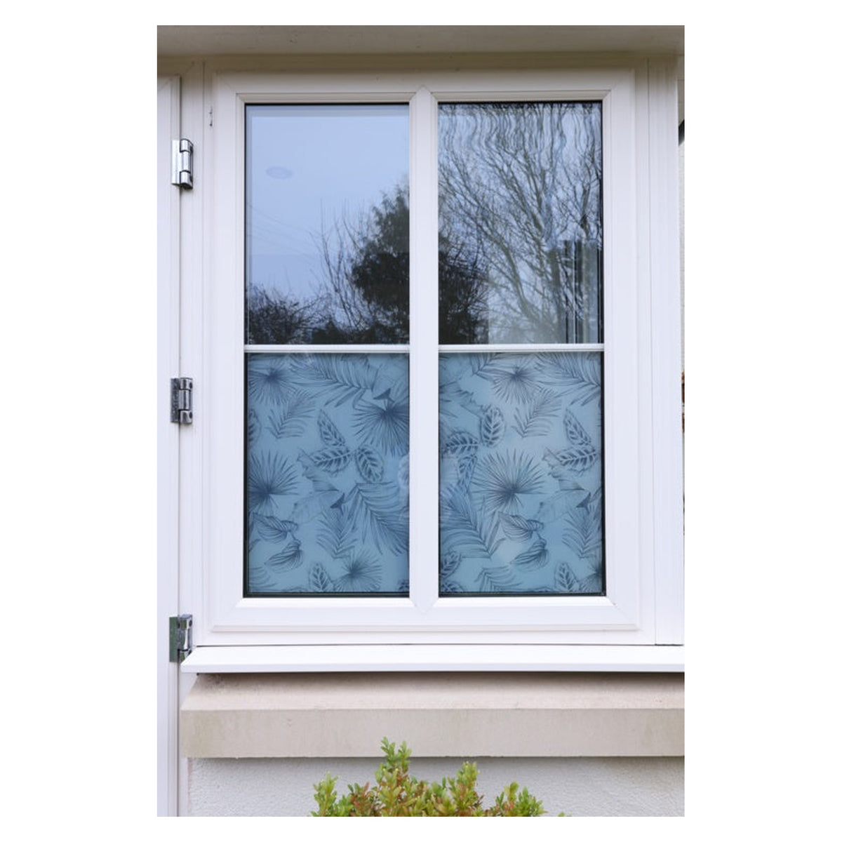 d-c-fix Static Botanicals window film 67.5cm x 1.5m