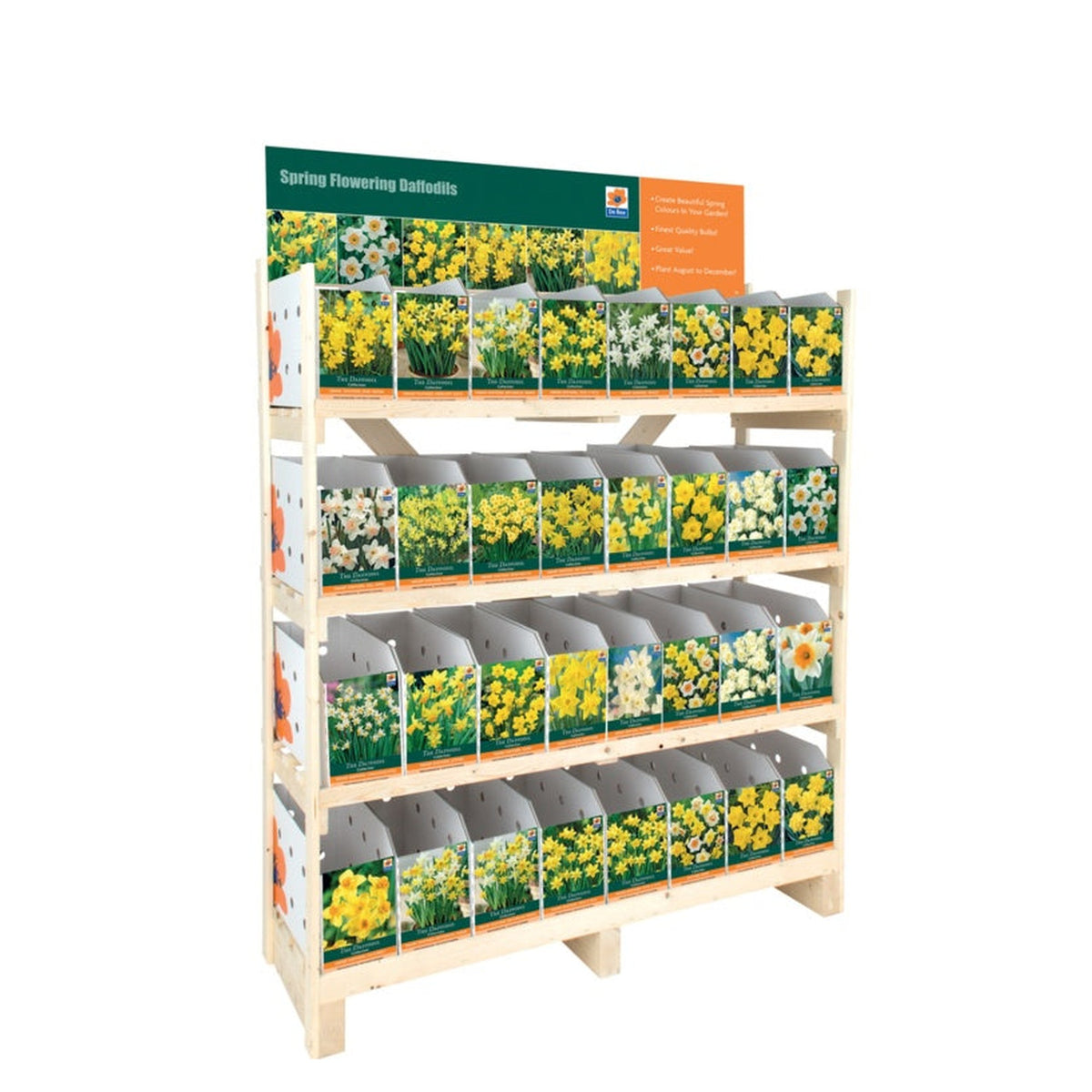 Daffodil Collection - Individual Packs