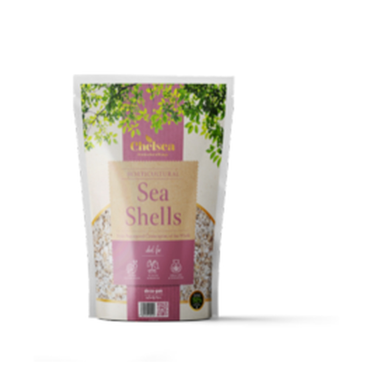 Deco-Pak Chelsea horticultural sea shells, 3kg bag