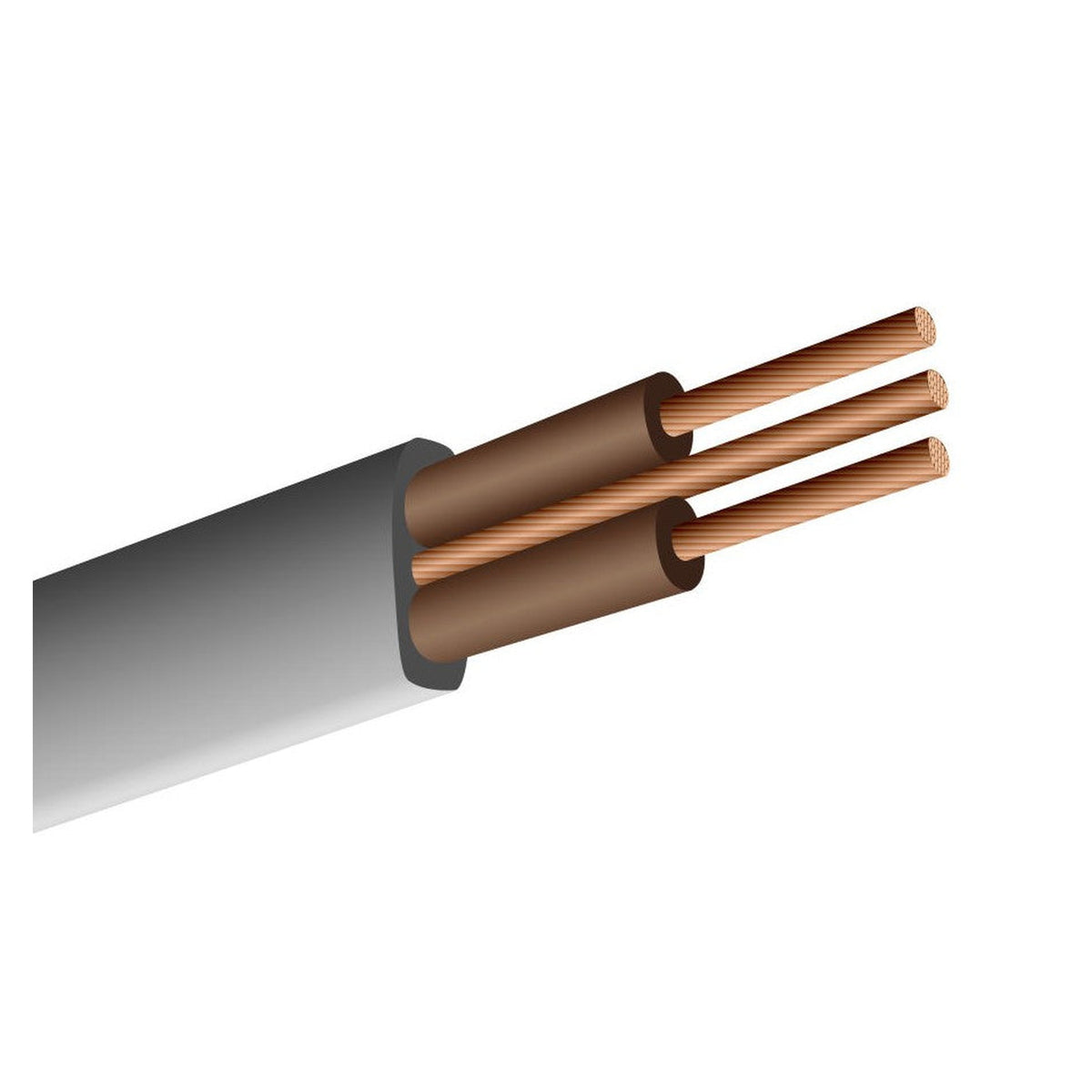 Doncaster Cable 1.5mm flat twin and earth, 100m drum