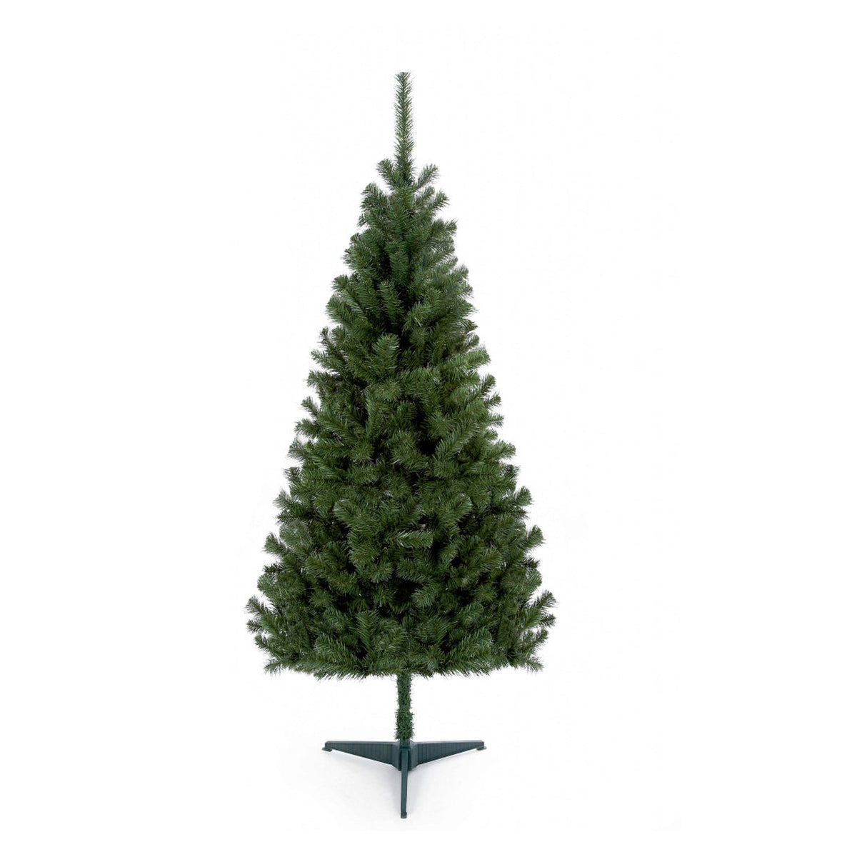 Douglas Fir Tree - 1.8m