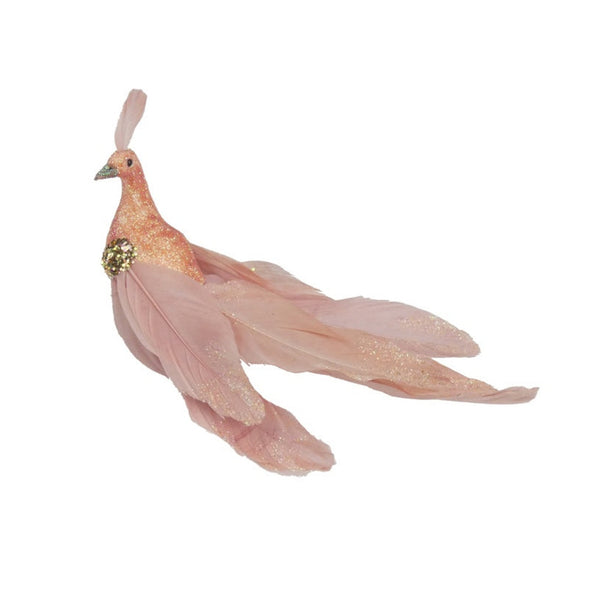 Feather Peacock - 19cm Blush