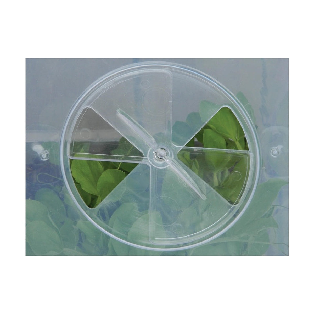 Garland 32cm square cloche cover, view 2