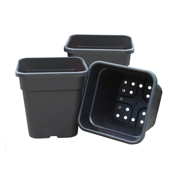 Garland black 21cm square tomato pot