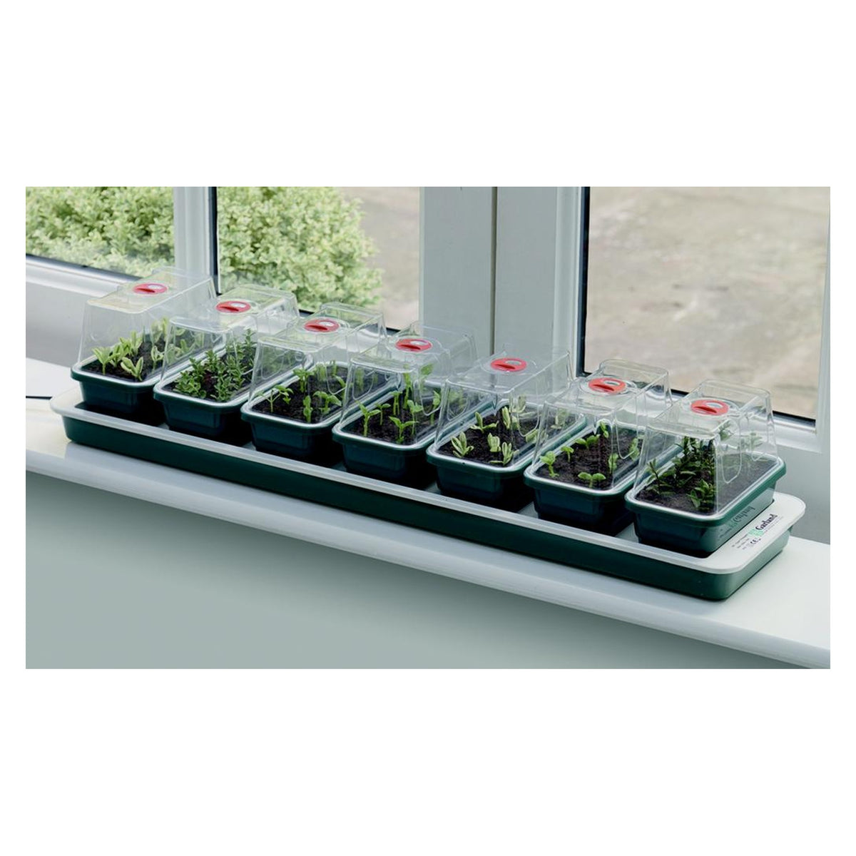 Garland Super 7 electric windowsill propagator with seven sections