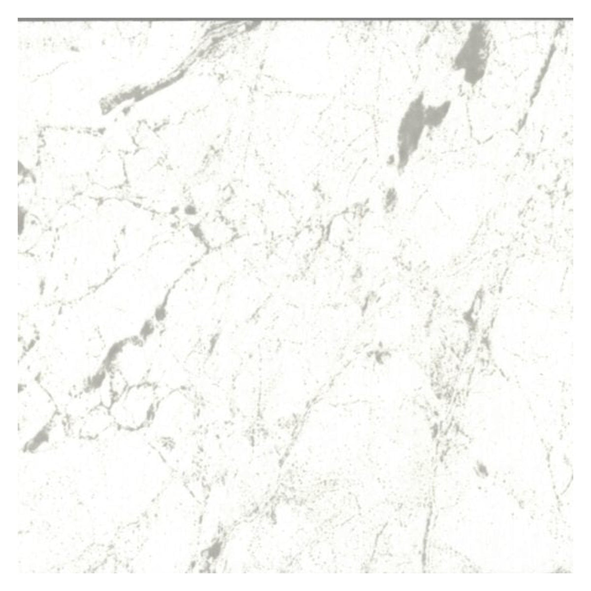 Giavani Calcutta Marble waterproof wall panel 2400 x 1000mm