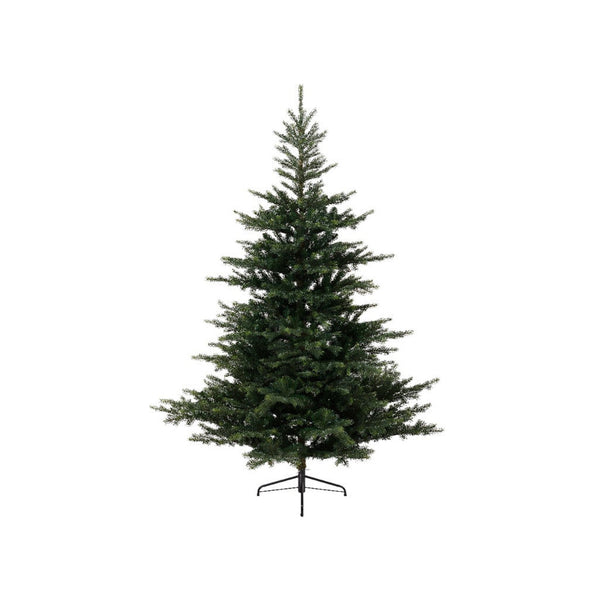 Grandis Green Fir Tree - 240cm