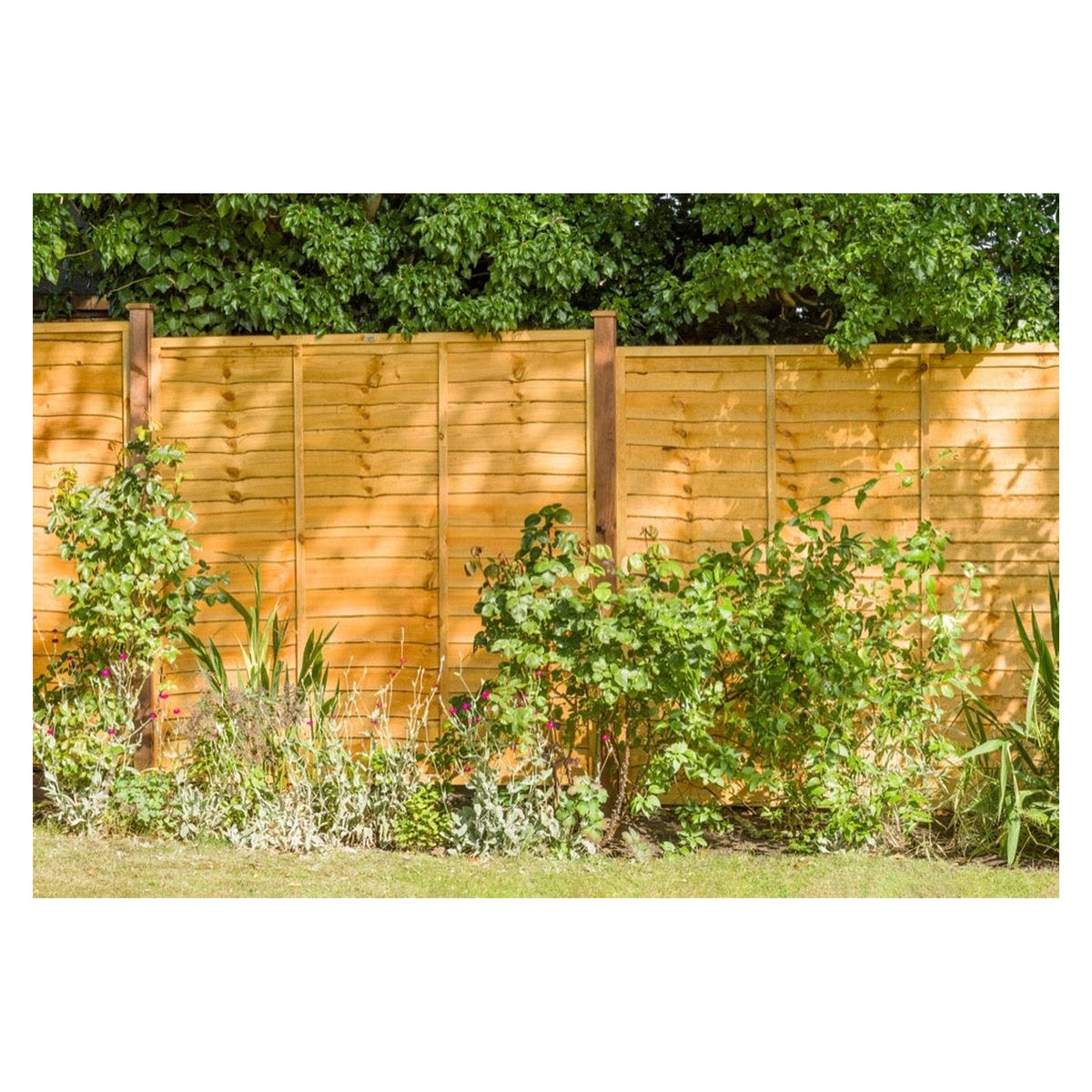Grange pressure treated fence panel 1.83m x 90cm