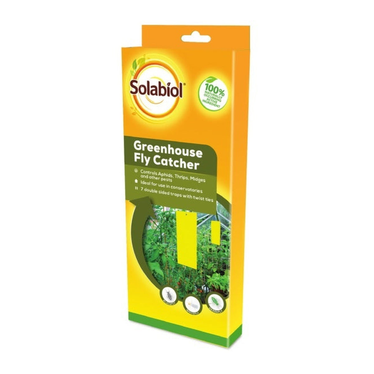 Greenhouse Fly Catcher - 7 Strips