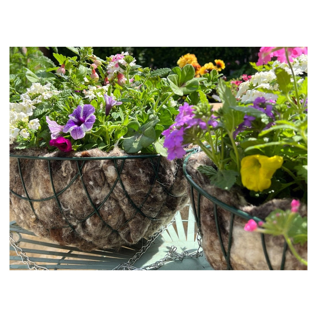 Hortiwool wool hanging basket liners, view 2