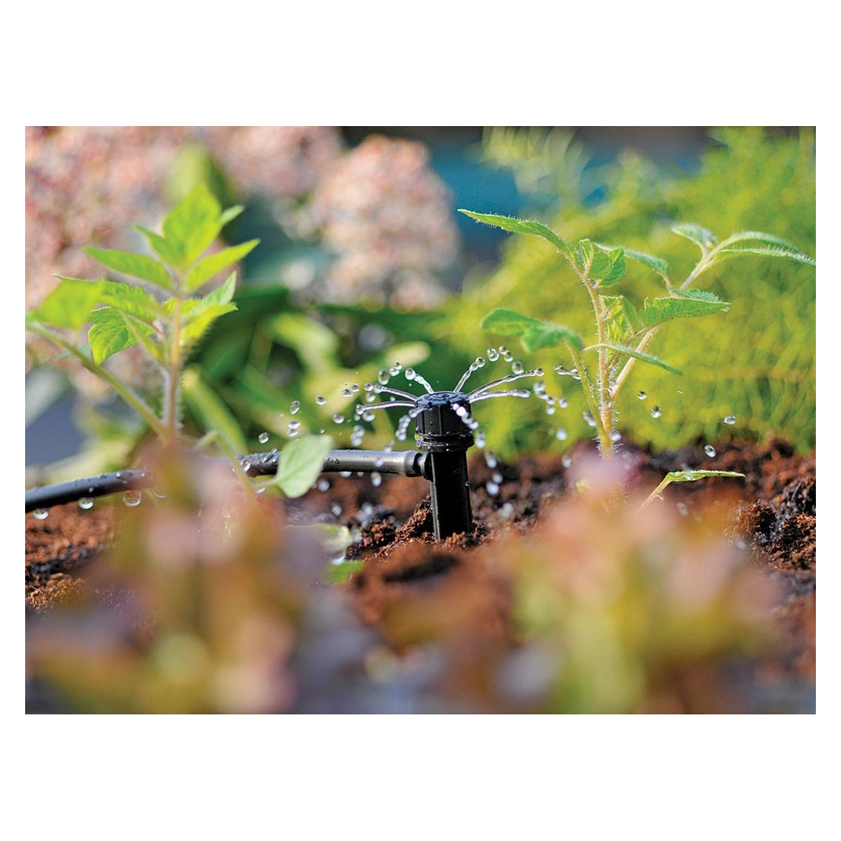 Pack of 12 Hozelock end of line adjustable sprinklers