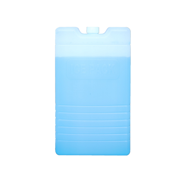 Ice Blocks - 2 x 400ml