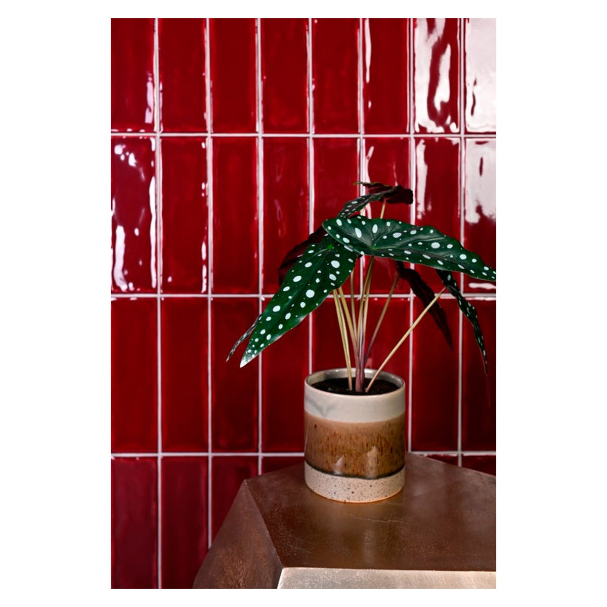 Johnson Tiles 1901 Minton Garnet slim brick wall tile, view 2